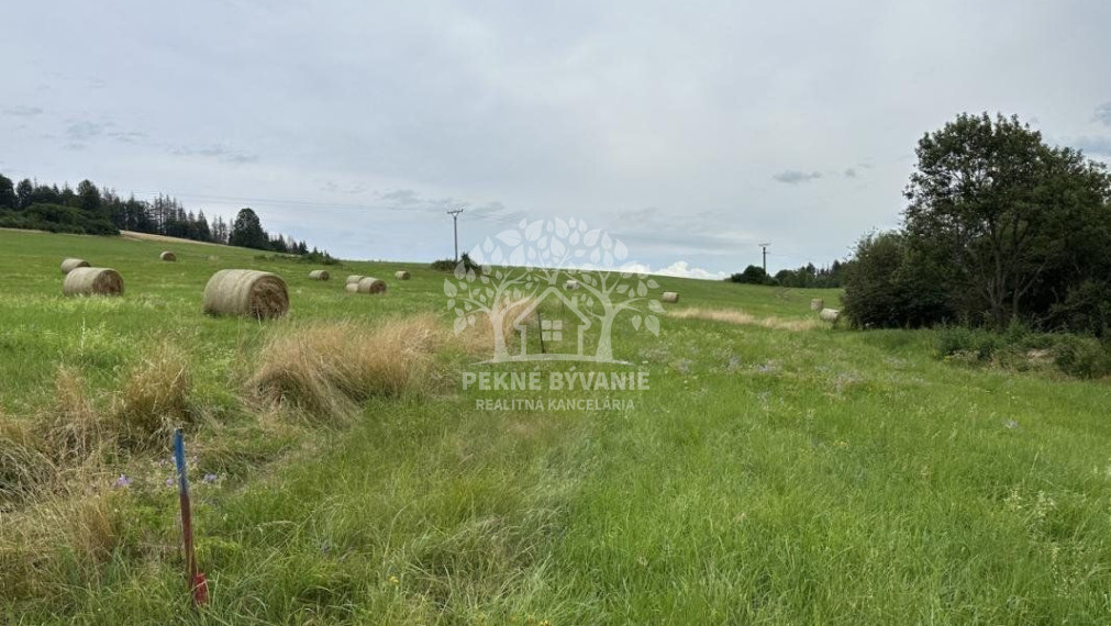 2979 M2 Stavebný pozemok na Beňuši