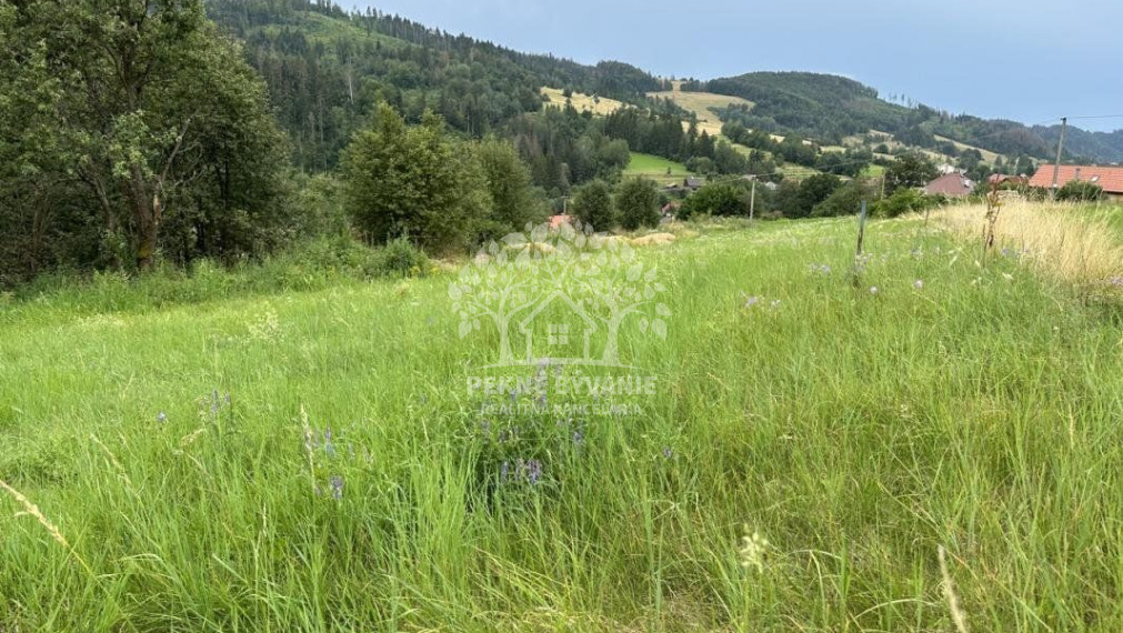 2979 M2 Stavebný pozemok na Beňuši