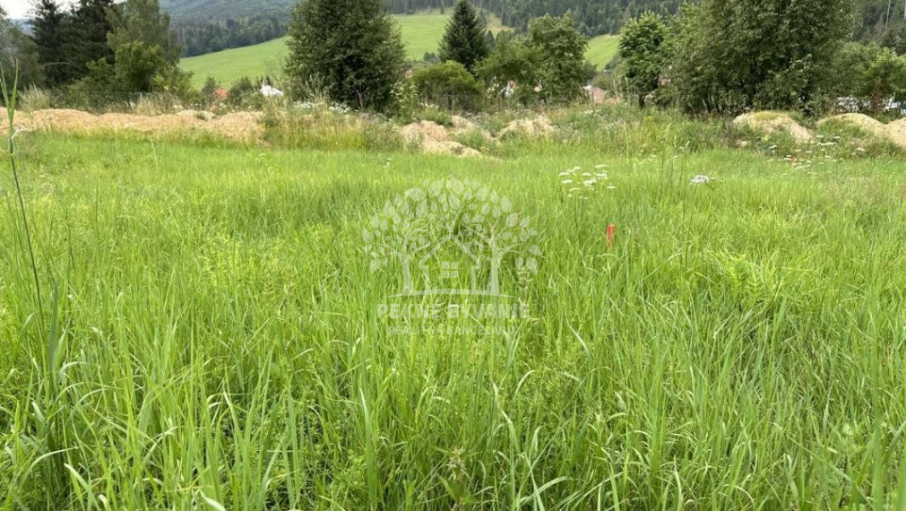 2979 M2 Stavebný pozemok na Beňuši