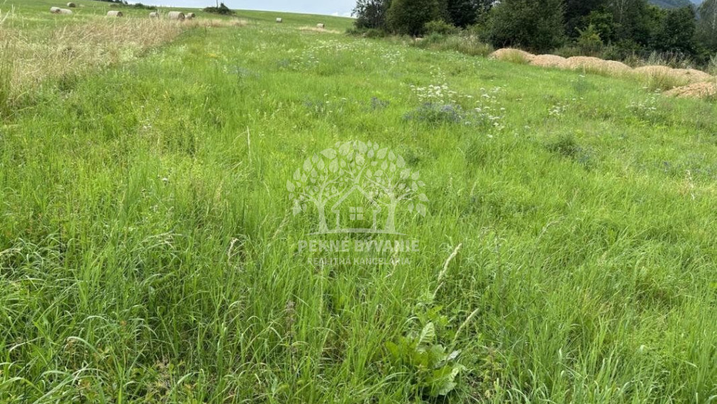 2979 M2 Stavebný pozemok na Beňuši