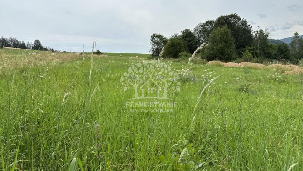 2979 M2 Stavebný pozemok na Beňuši