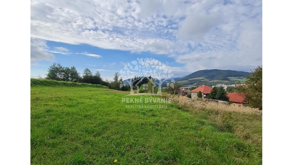 INVESTIČNÝ POZEMOK BREZNO 3344 M2 x 22,- €/M2 = 73.568,- €