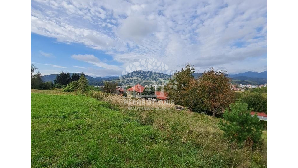 INVESTIČNÝ POZEMOK BREZNO 3344 M2 x 22,- €/M2 = 73.568,- €