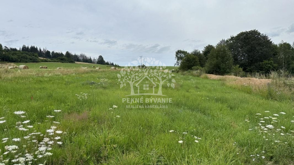 2979 M2 Stavebný pozemok na Beňuši