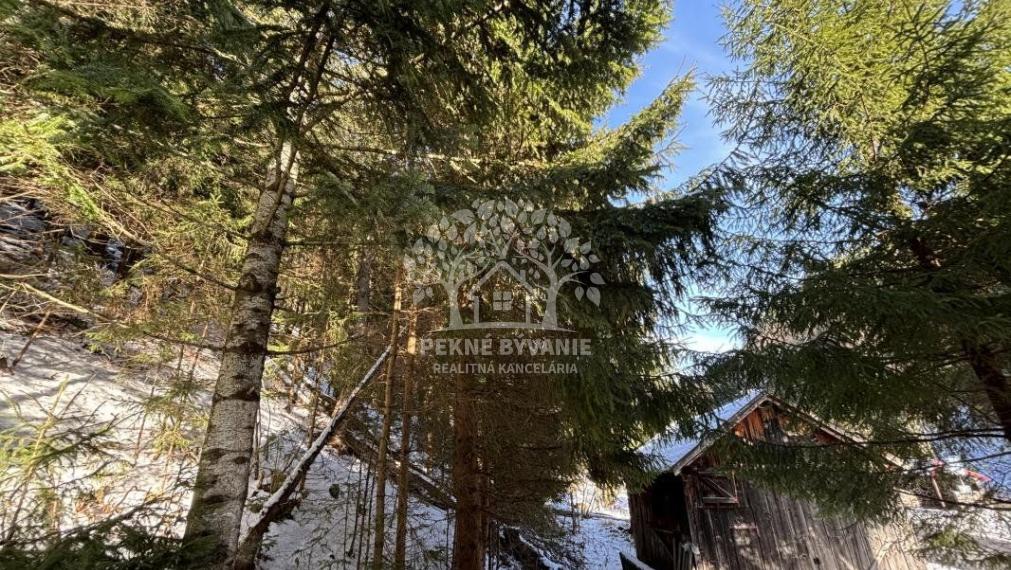 VKUSNE REKONŠTRUOVANÁ S CITOM ZARIADENÁ SLNKOM ZALIATA CHATA NA LV RODINNÝ DOM JARABÁ - KAMEROVÝ DOHĽAD