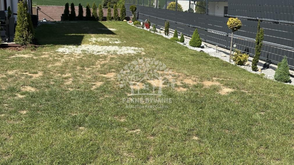 Skolaudovaná novostavba, nová terasa, nový plot nová skalka