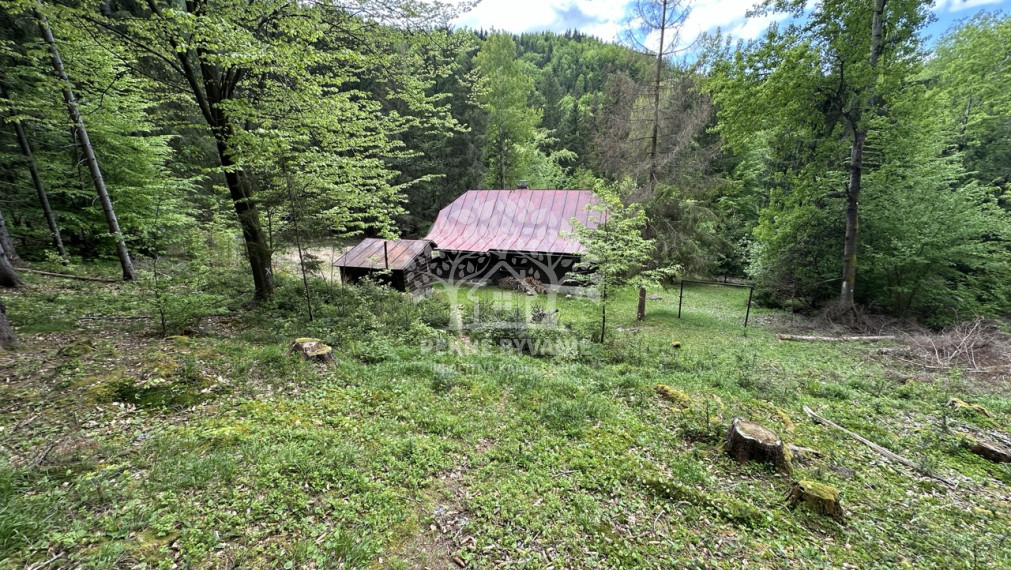 Výrazne znížená cena, chata v lese na predaj Nemecká