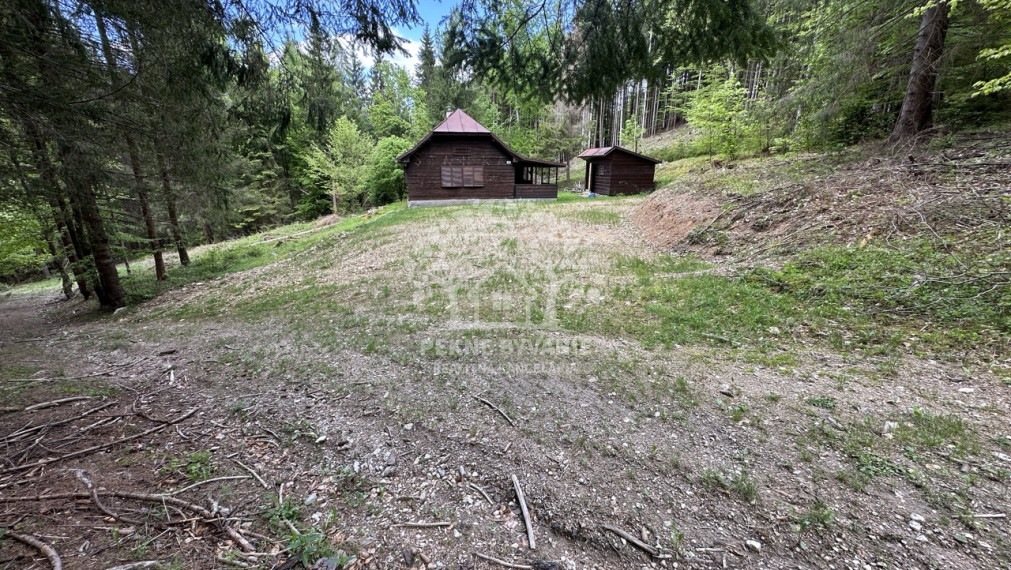 Výrazne znížená cena, chata v lese na predaj Nemecká
