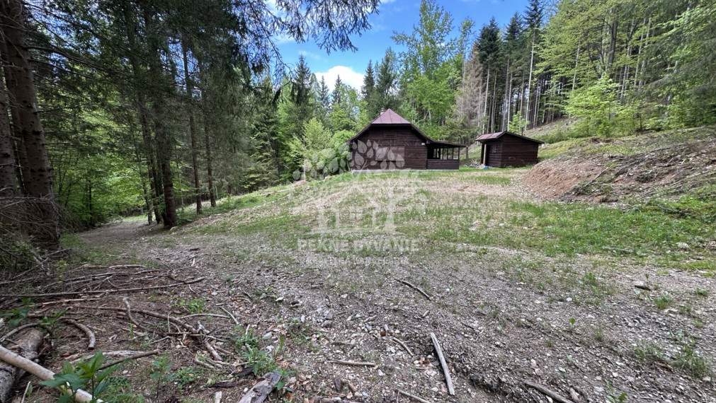Výrazne znížená cena, chata v lese na predaj Nemecká