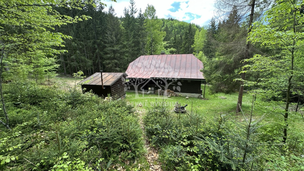 Výrazne znížená cena, chata v lese na predaj Nemecká