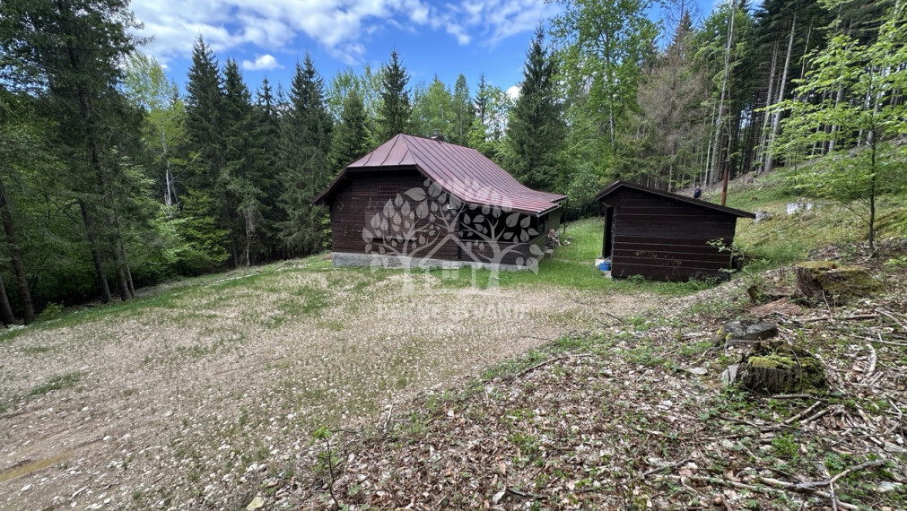 Výrazne znížená cena, chata v lese na predaj Nemecká