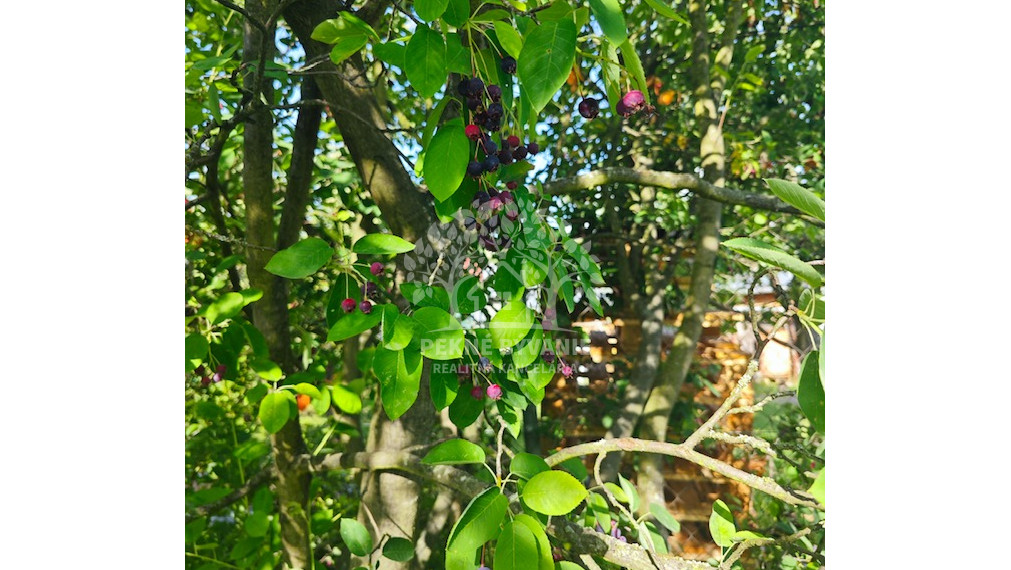 Centrum Brezna 230.000,- , Rodinný dom na predaj