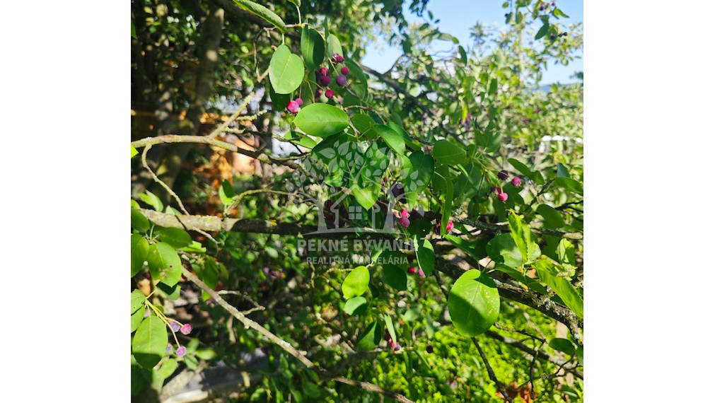 Centrum Brezna 230.000,- , Rodinný dom na predaj