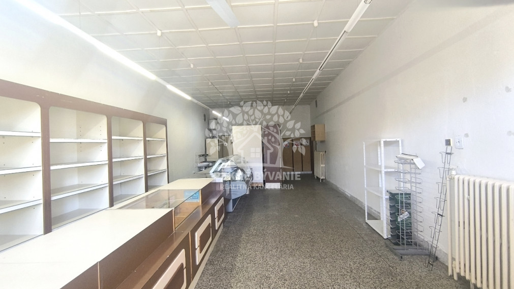 VÝHODNÁ INVESTÍCIA: ZAUJÍMAVÁ NEHNUTEĽNOSŤ VHODNÁ NA MNOHO VYUŽITÍ!! KRÁSNA ROVINATÁ SLNEČNÁ ZÁHRADA, TRI GARÁŽE, PRI PLYTKOM POTOČIKU