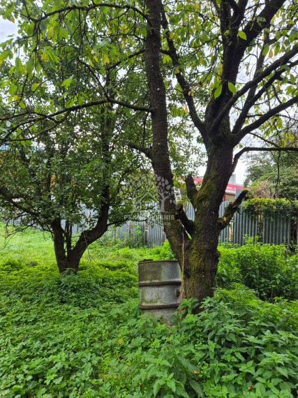 výhodná cena _ Slnečný pozemok na výstavbu