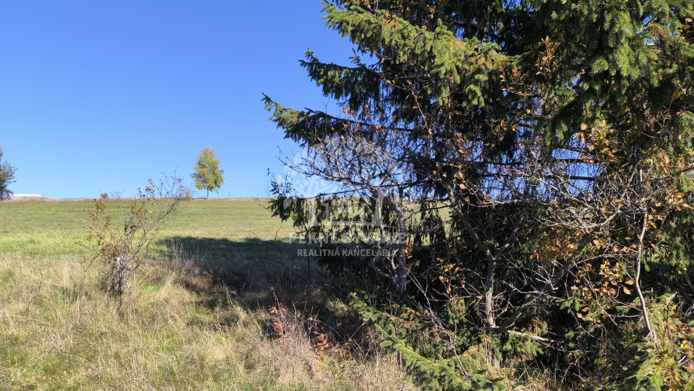 LUKRATÍVNE SLNEČNÉ POZEMKY S PRÍPOJKOU ELEKTRINY A VODY V NAJVYHĽADÁVANEJŠEJ LOKALITE BREZNO - ROHOZNÁ