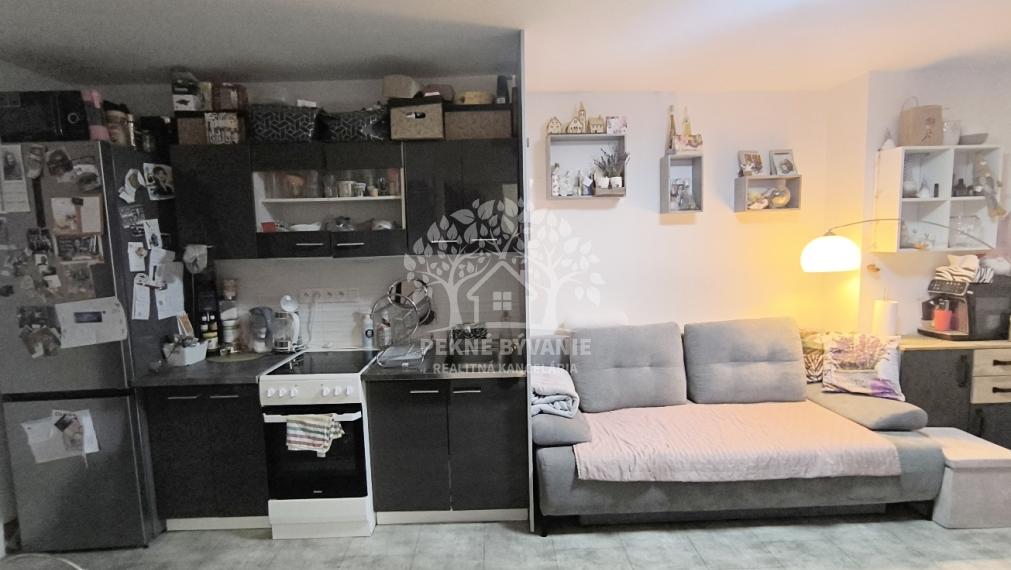 PRENÁJOM: 2IZBOVÝ BYT S VEĽKOU TERASOU - 5 MIN.PEŠO OD BREZNA PREDNÉ HALNY ZARIADENÝ - MAX. 2 OSOBY S DOSTATKOM PARK.MIESTA