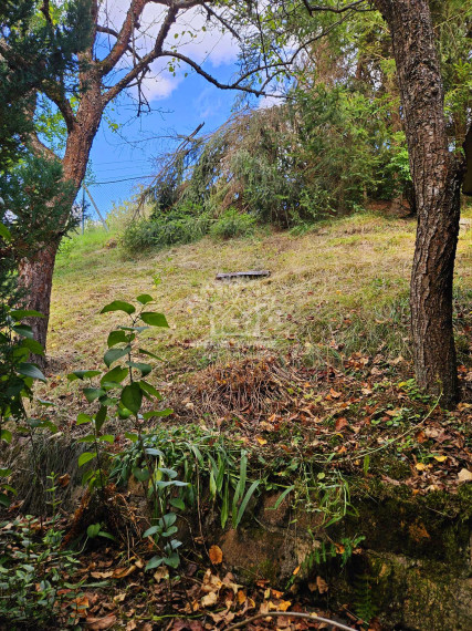 PREDAJ: záhradná chatka Padličkovo (Brezno)