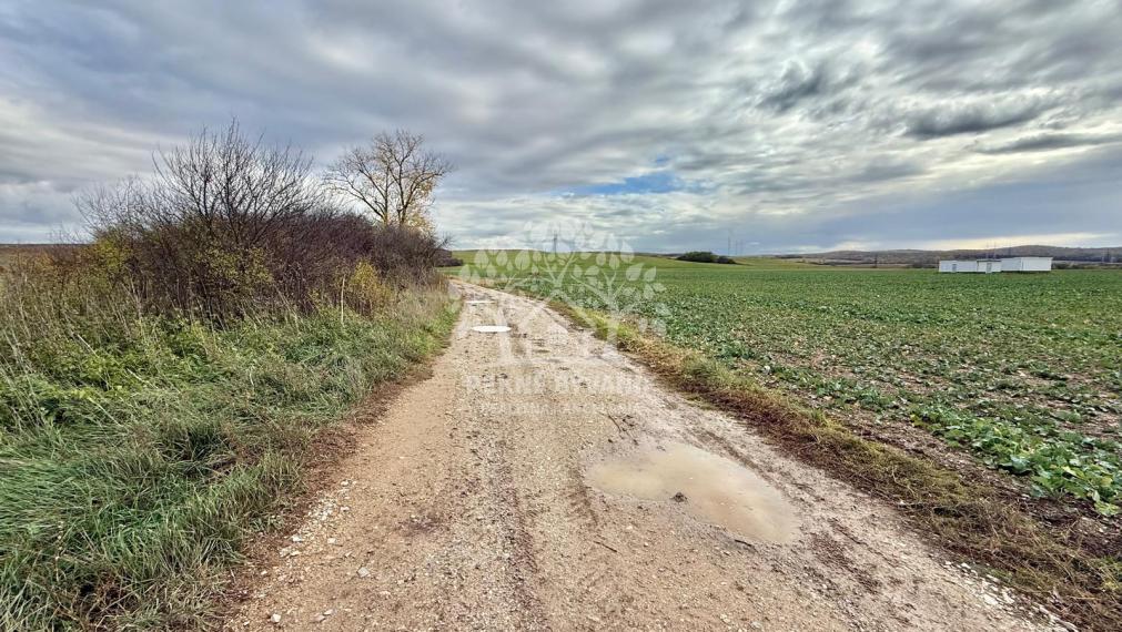Na predaj pekná rovinatá parcela-orná pôda v katastri Gemer