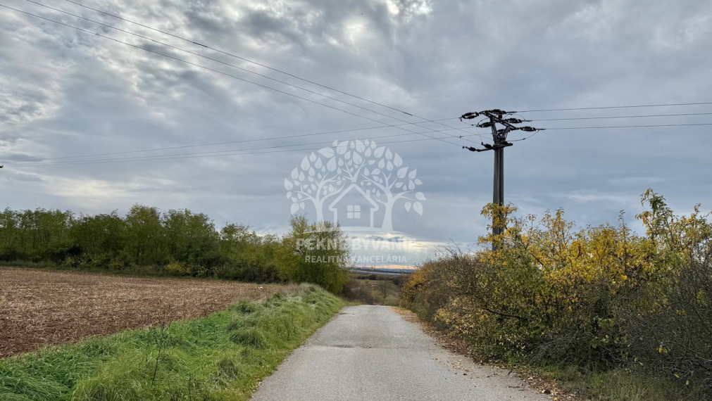 Na predaj pekná rovinatá parcela-orná pôda v katastri Gemer