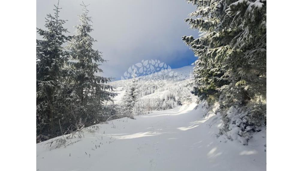 EXKLUZÍVNA PONUKA: RODINNÝ DOM PLUS 2 APARTMÁNY, DVE GARÁŽE, S VÝHĽADOM NA LYŽIARSKY VLEK TELGÁRT HOREHRONIE
