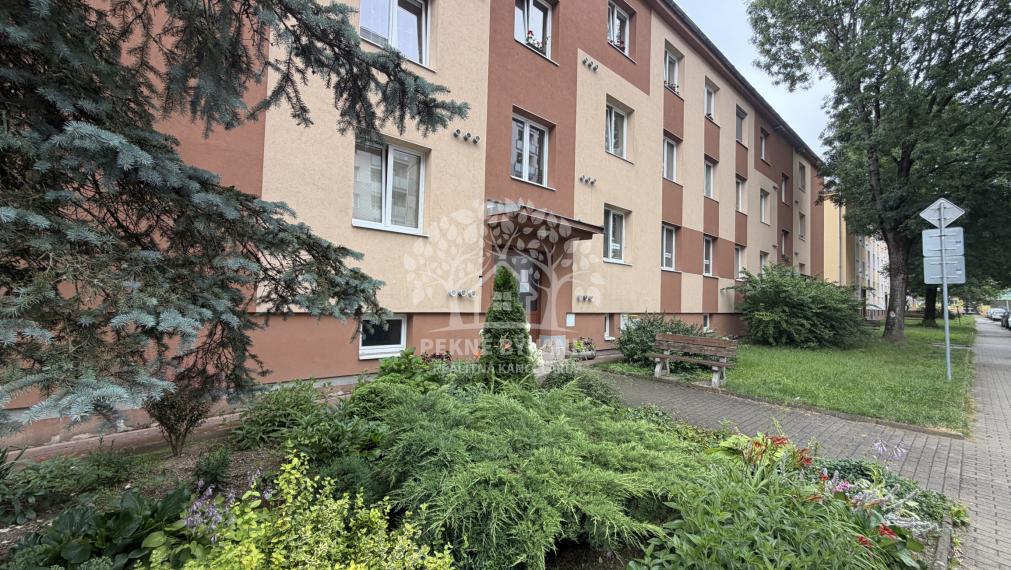 V centre Brezna ponúkame na predaj 3 izbový byt, 2 pivnice,veľa zelene