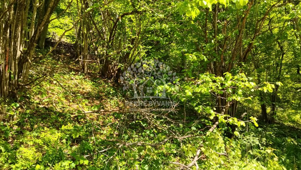 Pozemok v rekreačnej oblasti Krpáčovo, 2000m2