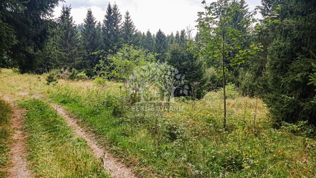 Tri pozemky v rekreačnej oblasti Tále-Krpáčovo na predaj