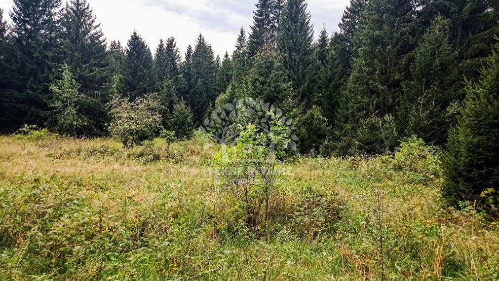 Tri pozemky v rekreačnej oblasti Tále-Krpáčovo na predaj