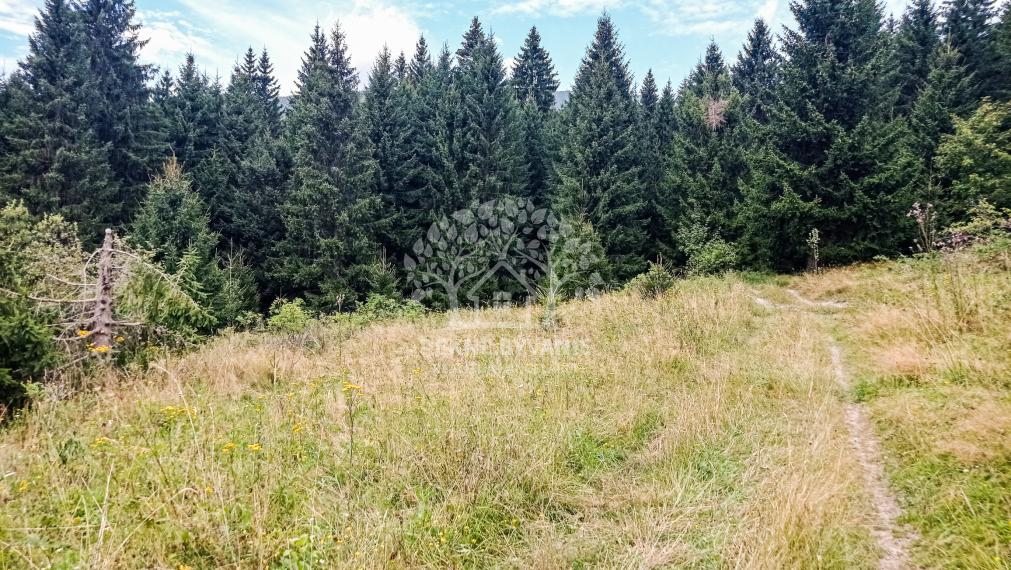 Tri pozemky v rekreačnej oblasti Tále-Krpáčovo na predaj