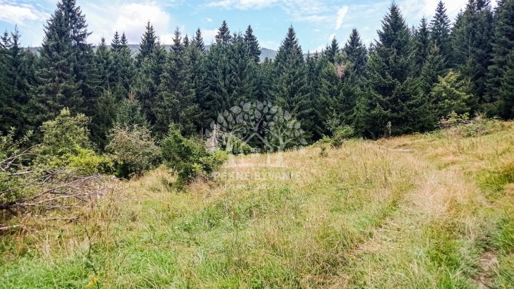 Tri pozemky v rekreačnej oblasti Tále-Krpáčovo na predaj