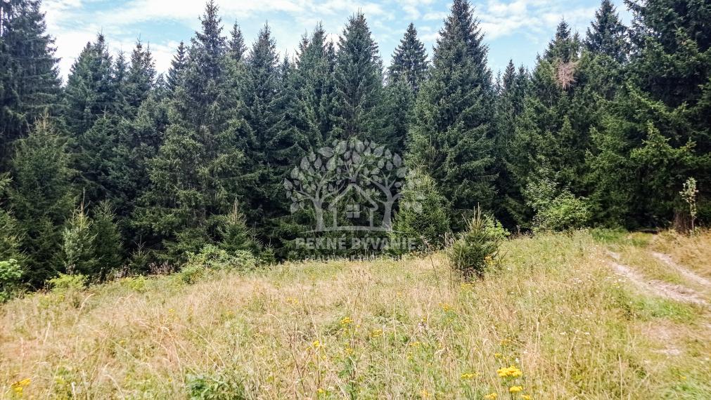 Tri pozemky v rekreačnej oblasti Tále-Krpáčovo na predaj