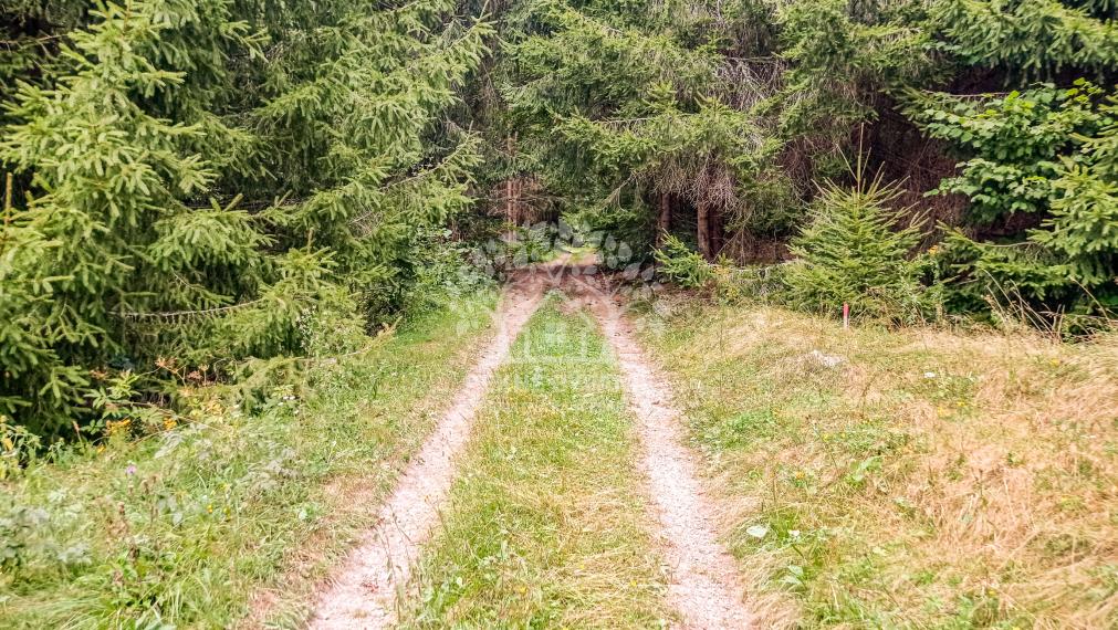 Tri pozemky v rekreačnej oblasti Tále-Krpáčovo na predaj