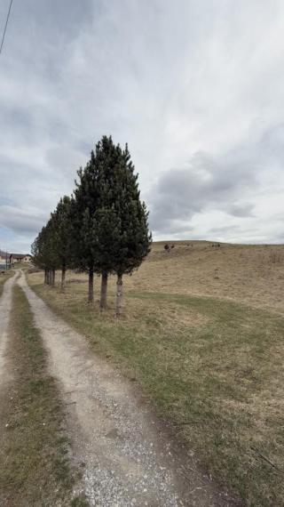 NA PREDAJ: 5x STAVEBNÉ POZEMKY BREZNO TISOVSKÁ CESTA , PODKOREŇOVÁ