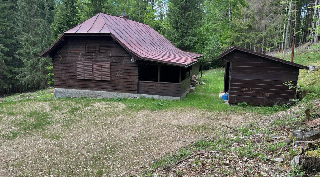 Výrazne znížená cena, chata v lese na predaj Nemecká