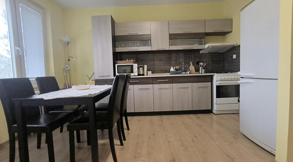 PRENÁJOM: 1 IZBOVÝ BYT CENTRUM ČSA 4.POSCHODIE S PARKOVACÍM MIESTOM ZARIADENÝ - MAX. 2 OSOBY