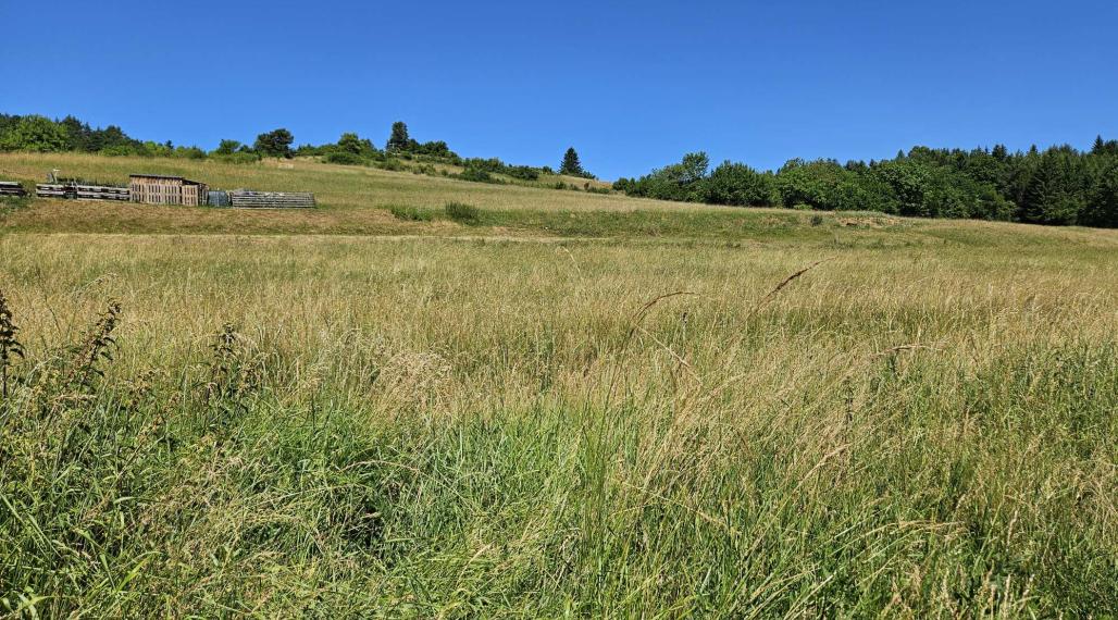 PREDAJ: pozemok na výstavbu domu, chaty Dolná Lehota /pár minút na Krpáčovo/