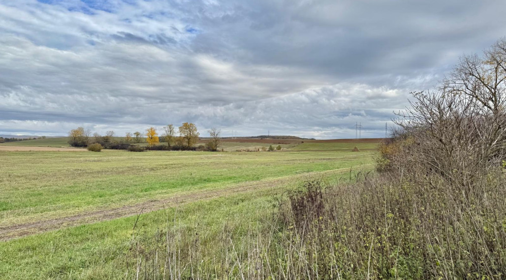 Na predaj pekná rovinatá parcela-orná pôda v katastri Gemer