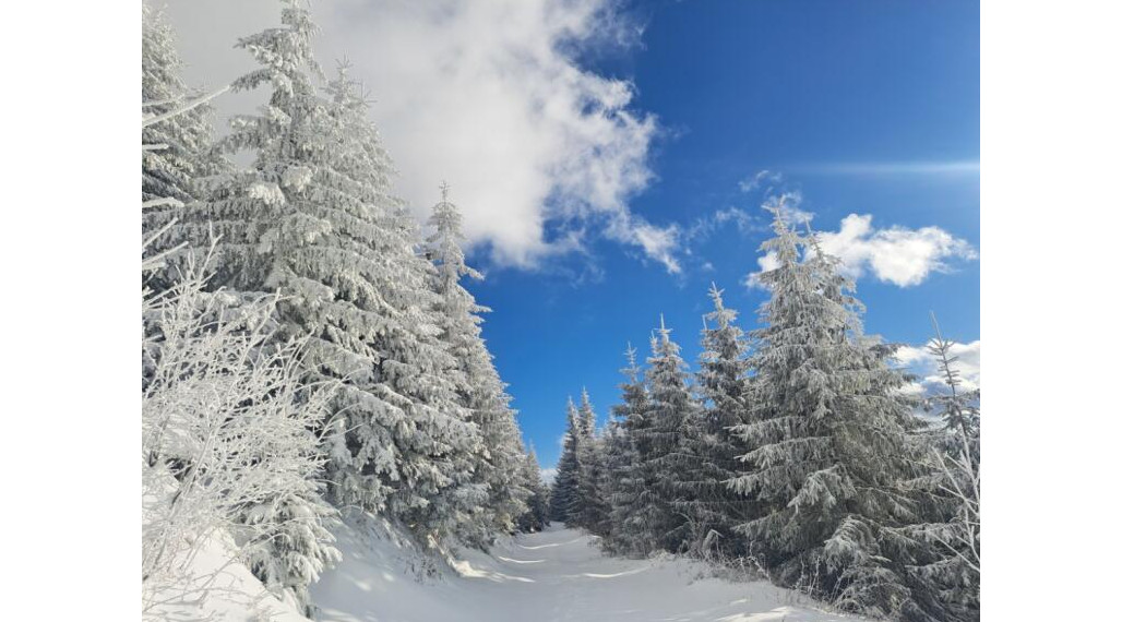 EXKLUZÍVNA PONUKA: RODINNÝ DOM PLUS 2 APARTMÁNY, DVE GARÁŽE, S VÝHĽADOM NA LYŽIARSKY VLEK TELGÁRT HOREHRONIE