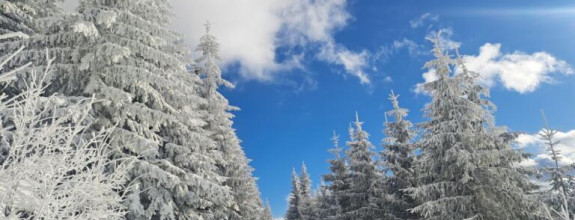 EXKLUZÍVNA PONUKA: RODINNÝ DOM PLUS 2 APARTMÁNY, DVE GARÁŽE, S VÝHĽADOM NA LYŽIARSKY VLEK TELGÁRT HOREHRONIE