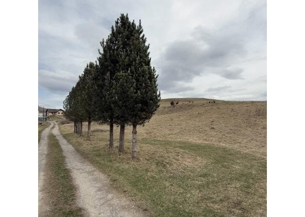 NA PREDAJ: 5x STAVEBNÉ POZEMKY BREZNO TISOVSKÁ CESTA , PODKOREŇOVÁ