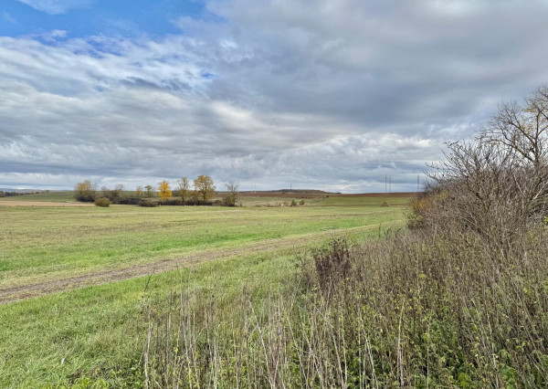 Na predaj pekná rovinatá parcela-orná pôda v katastri Gemer