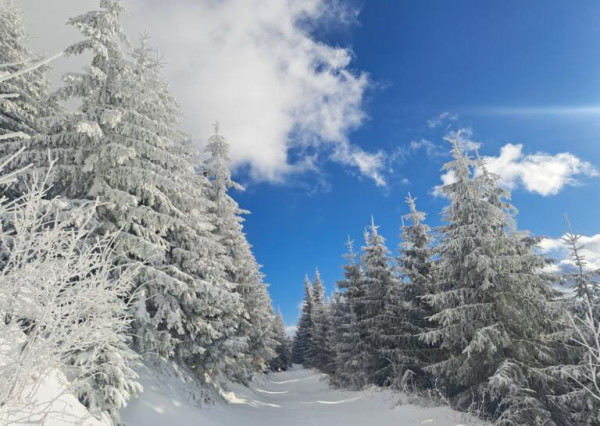 EXKLUZÍVNA PONUKA: RODINNÝ DOM PLUS 2 APARTMÁNY, DVE GARÁŽE, S VÝHĽADOM NA LYŽIARSKY VLEK TELGÁRT HOREHRONIE