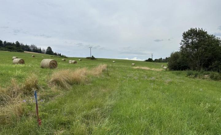 Krásny pozemok na Beňuši, tichá lokalita - fotografia 5