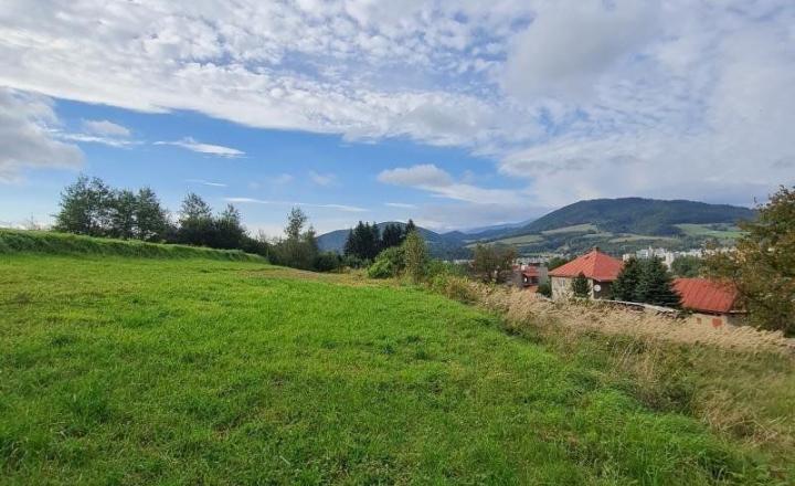 INVESTIČNÝ POZEMOK BREZNO 3344 M2 x 22,- €/M2 = 73.568,- € - fotografia 3