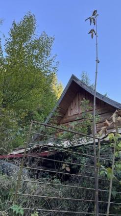 NA PREDAJ : RODINNÝ DOMČEK  A  MOBILNÝ DOM NA JEDNOM POZEMKU V PODBREZOVEJ - fotografia 17
