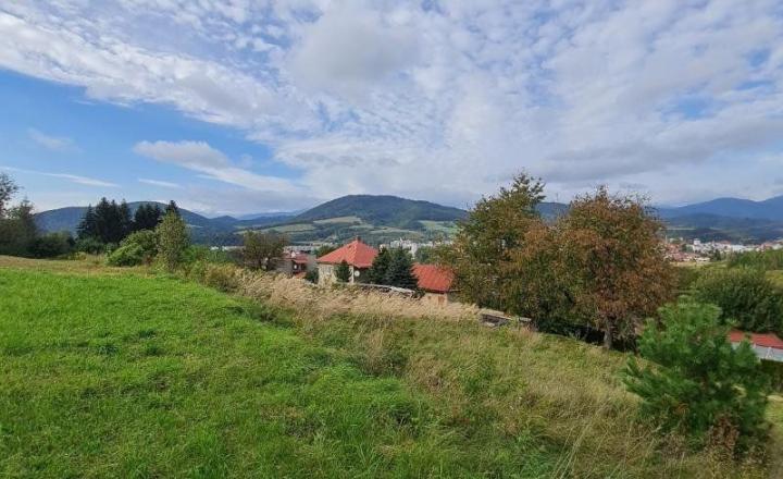 INVESTIČNÝ POZEMOK BREZNO 3344 M2 x 22,- €/M2 = 73.568,- € - fotografia 5