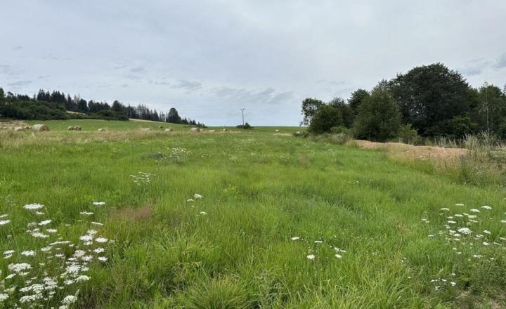 2979 M2 Stavebný pozemok na Beňuši - fotografia 4
