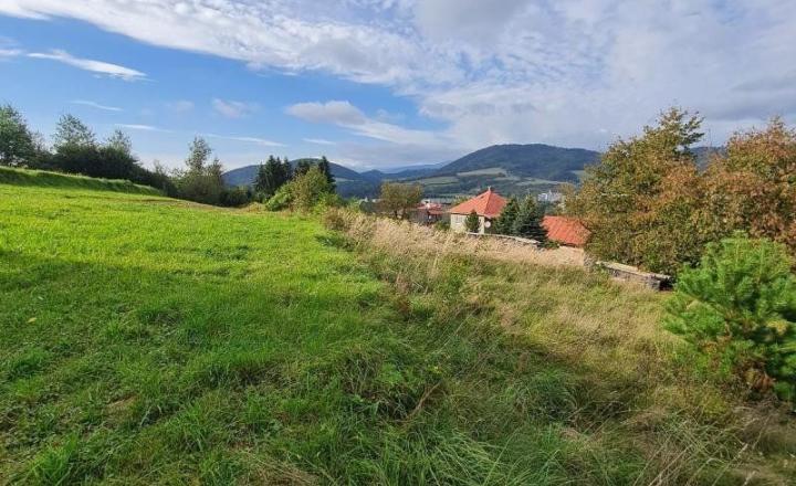 INVESTIČNÝ POZEMOK BREZNO 3344 M2 x 22,- €/M2 = 73.568,- € - fotografia 2