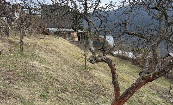 POZEMOK NA PREDAJ : ZÁHRADKÁRSKA OSADA ZUBERŠTÍN-PODBREZOVÁ - fotografia 9
